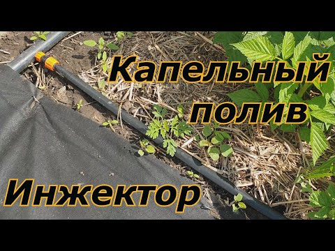 Видео: Система капельного полива на моем участке со встроенным  инжектором
