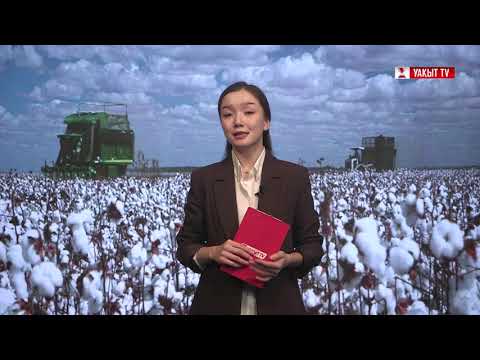 Видео: “AQ DALA” МАҚТАШЫЛАР ФЕСТИВАЛІ: ТҮРКІСТАН ОБЛЫСЫНДА ДҮНИЕЖҮЗІЛІК МАҚТА КҮНІ КЕҢ КӨЛЕМДЕ ТОЙЛАНДЫ