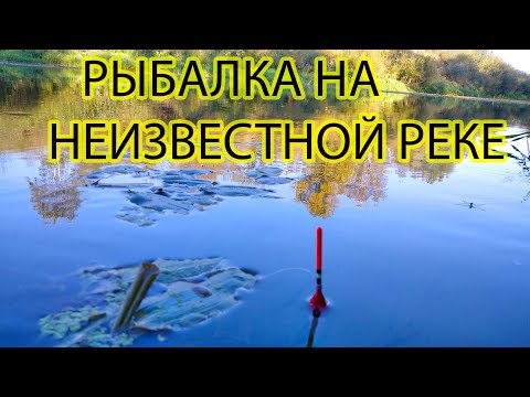 Видео: Рыбалка на неизвестной реке 12 сентября 2021 на поплавок.