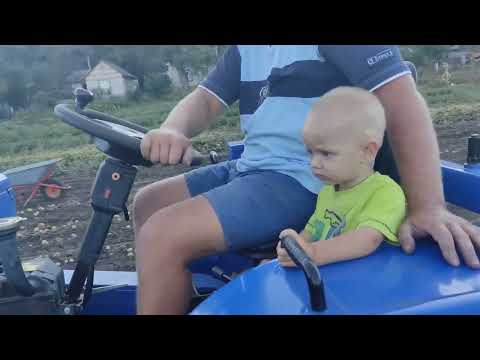 Видео: ОЦЕ ТАК ВРОДИЛА! Урожай картоплі 2025.