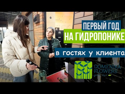 Видео: Первый год ВЫГОНКА ТЮЛЬПАНА НА ГИДРОПОНИКЕ. В гостях у наших клиентов.