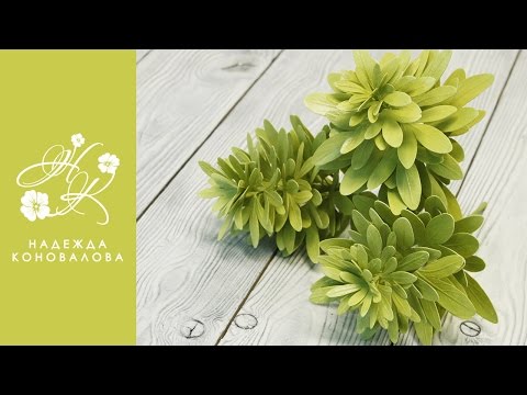 Видео: Чойсия или Шуазия тройчатая - зелень для букета из фоамирана