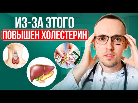 Видео: 3 ПРИЧИНЫ ВЫСОКОГО ХОЛЕСТЕРИНА. Объясняет кардиолог Димитрий Лесков.
