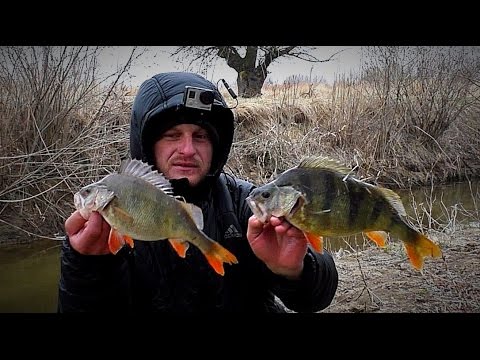 Видео: Первая рыбалка с ночевкой 2017. Ловля окуня. Рыбалка на велосипеде. Ловля на джиг весной.