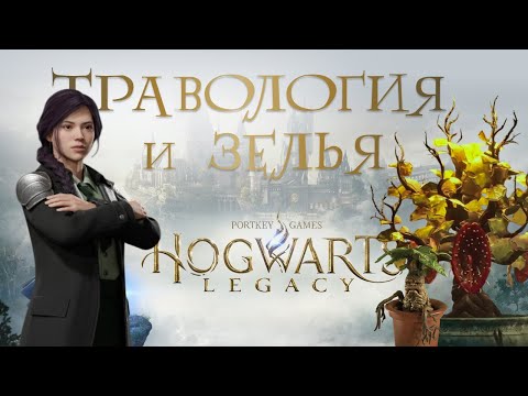 Видео: #9🌿ТРАВОЛОГИЯ и ЗЕЛЬЯ! Учёба в Хогвартсе продолжается • Hogwarts Legacy прохождение на 100%