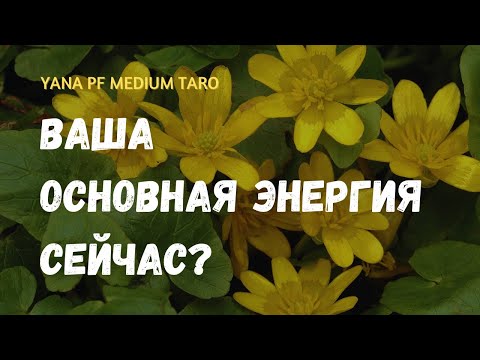 Видео: #ТАРО 🔥🔆 ЭНЕРГИИ ВОКРУГ ВАС‼️