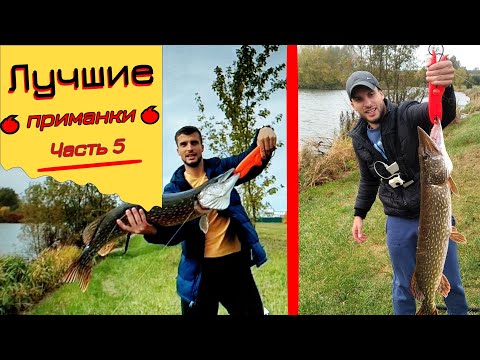 Видео: Топ приманок. Часть 5. Крупный силикон Strike pro Pig shad Jr.