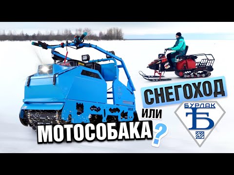 Видео: БУРЛАК 2025 - Снегоход или мотобуксировщик? M2 LFK, Таёжник, Промысловик, Strike - ЧТО ВЫБРАТЬ?