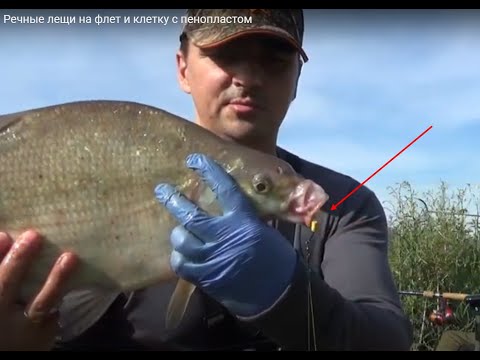 Видео: Речные лещи на флет и клетку с пенопластом