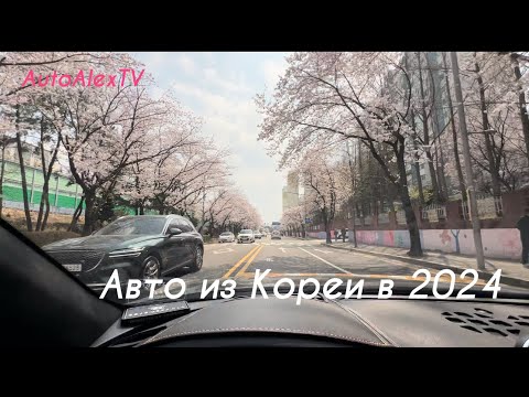 Видео: Разрешенные авто на экспорт из Кореи в 2024 г