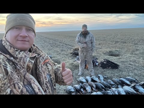 Видео: Лучшая охота на гуся   это окоп,двухстволка и немного гуся!    4K