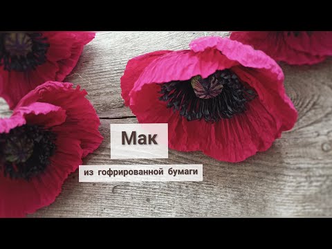 Видео: Мак из гофрированной бумаги