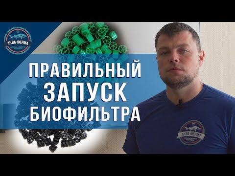 Видео: Как правильно запустить биофильтр