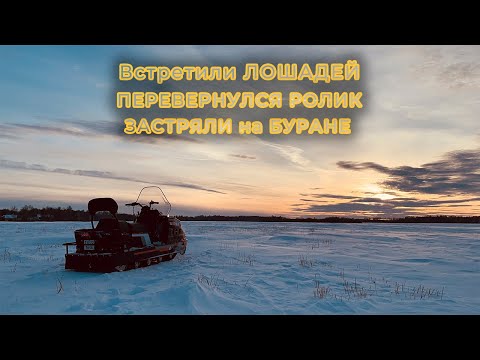 Видео: БУРАН ЛИДЕР АДЕ | ЛОШАДИ + Перевернулся РОЛИК | Покатушка на снегоходе БУРАН