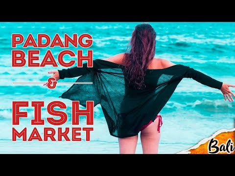 Видео: #5 Бали: Бесплатный Паданг-Паданг и Гастрономический оргазм на JimBaran FishMarket