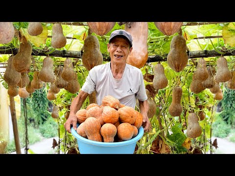 Видео: Лайфхак по выращиванию тыкв: непрерывный урожай без полива и сада!