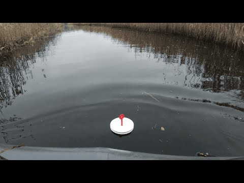 Видео: ЩУКА переворачивает кружки на глазах на узком канале!!