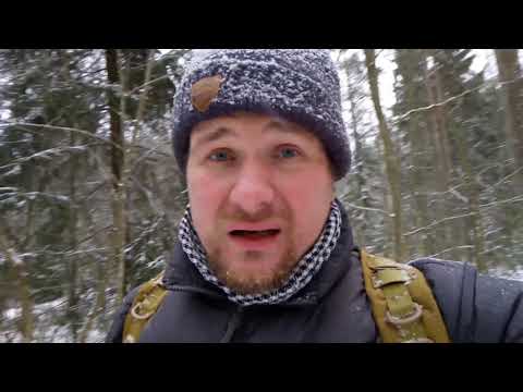 Видео: ПЛЧ#13 Прогулка в Токсовском природном парке. В поисках Деда Мороза. Неожиданное открытие.