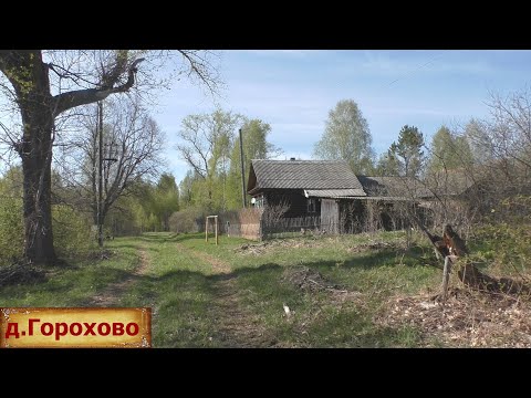 Видео: Загадочная деревня. Живет один в опустевшей деревне. Жизнь в заброшенной деревне.