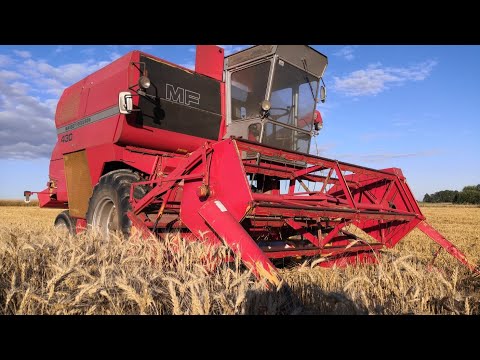 Видео: Уборка озимой пшеницы 60ц/га мини комбайн Massey ferguson 430