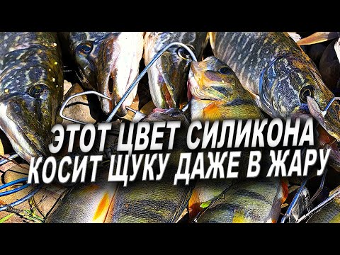 Видео: ЭТО РЕАЛЬНО ЛУЧШИЙ ЦВЕТ СИЛИКОНА НА ЩУКУ И ОКУНЯ ЛЕТОМ В ЖАРУ! ЩУКА В ИЮЛЕ. ЩУКА НА ДЖИГ! РЫБАЛКА