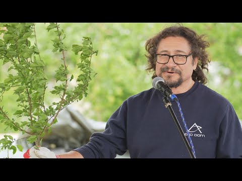Видео: "Резитба и грижа за овошки, ашландисване" с Димитър Михов - Сгледници - пролет 2024