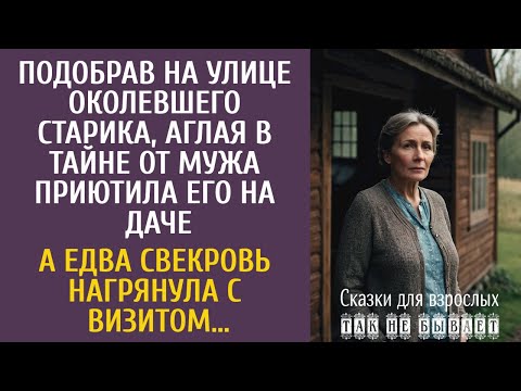 Видео: Подобрав на улице околевшего старика, втайне от мужа приютила его на даче… А едва приехала свекровь