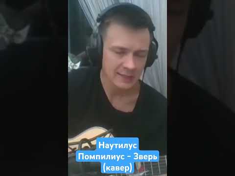 Видео: #шортс #нау #наутилуспомпилиус #наутилус #зверь #кавер #брат2 #брат #бутусов