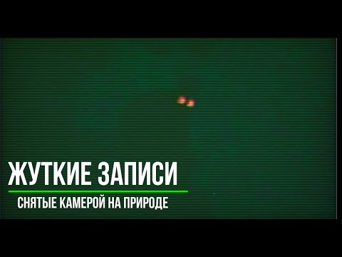 Видео: Жуткие Записи Снятые камерой на Природе__Страшные записи_Страшные истории на ночь