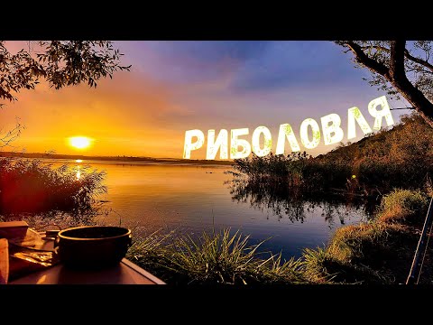 Видео: 💥 БУРШТИНСЬКЕ ВОДОСХОВИЩЕ / РИБОЛОВЛЯ З НОЧІВЛЕЮ💥