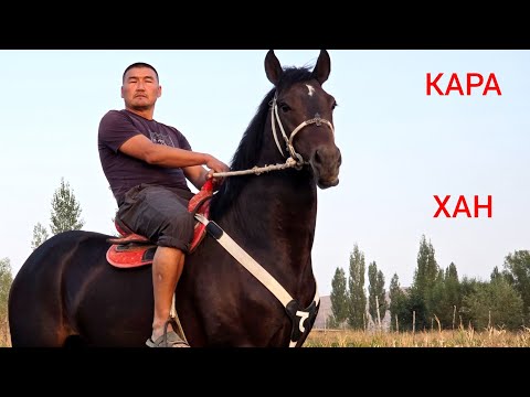 Видео: КАРА ХАН   АТТЫН УДАРЫ ЧЫКТЫ 