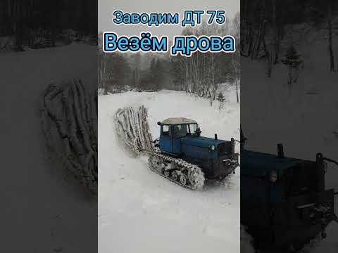 Видео: Заводим трактор ДТ 75 в -10. Работа в лесу!!! Везём дрова домой