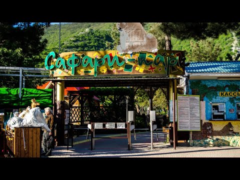 Видео: VLOG 17.06.2023 г Сафари - парк/ Сафари - парк в Геленджике/ Зоопарк