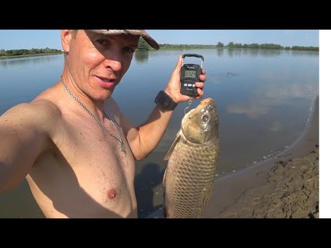 Видео: Вот это рыбалка, поймал трофей.Ловля сазана на жмых.