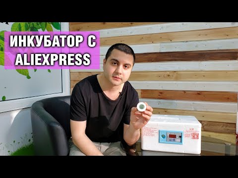 Видео: Домашний инкубатор из пенопласта для яиц эублефаров — Обзор инкубатора