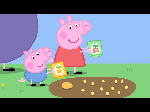 Видео: Мультфильмы Серия - Свинка Пеппа 5x12