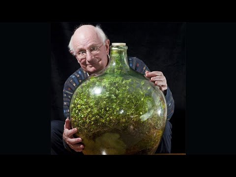 Видео: 60-летний сад в бутылке не поливали более 4 десятилетий, но он все еще процветает!