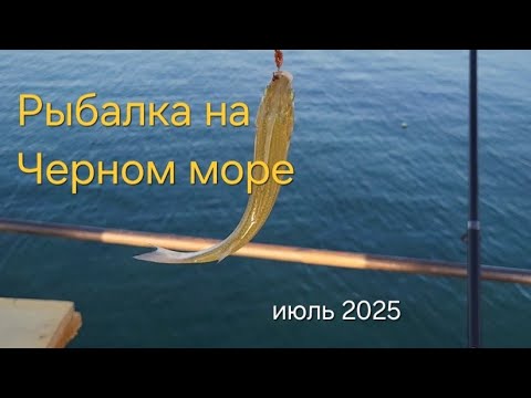 Видео: Рыбалка на Черном море.Июль.Болгария.