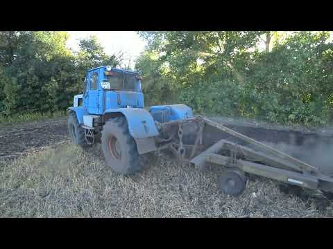 Видео: вспашка 2024 🙂 подсолнух санмарин 421 🙂 скоро уборочная