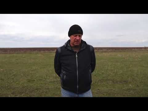 Видео: Отзыв о работе Бороны зубовой шарнирной серии БЗШ