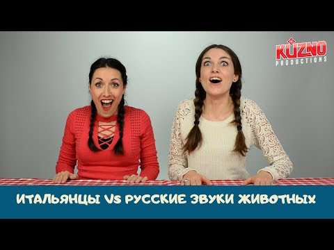 Видео: Итальянцы угадывают русские звуки животных