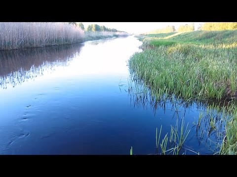 Видео: ЯТЕРЬ РУЧНОЙ РОБОТЫ КАК УСТАНАВЛИВАТЬ ЯТЕРЯ НА РЕЧКЕ С БОЛЬШИМ ТЕЧЕНИЕМ