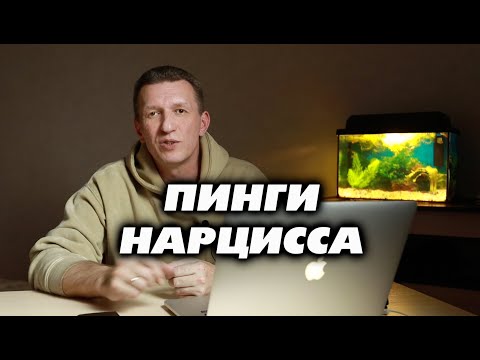 Видео: Пинги нарцисса
