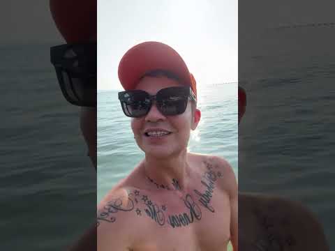 Видео: Лучший момент трансляции