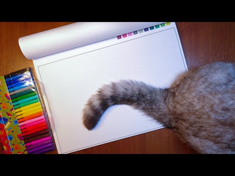 Видео: АСМР Рисование фломастерами 🎨 ASMR  Drawing by numbers (No Talking) 2 Hours