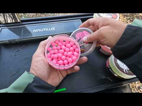 Видео: Был проход, и я их поймал, золотой берег осень 2022 карпфишинг, ловля рыбы на карповые снасти