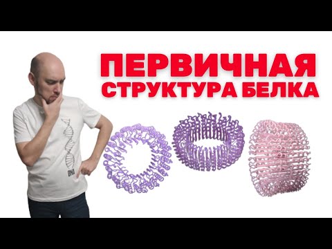 Видео: Как устроена первичная структура белка? Душкин объяснит