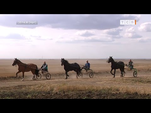 Видео: Малаешты готовятся к бегам