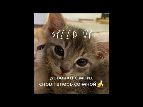 Видео: девочка с моих снов теперь со мной))