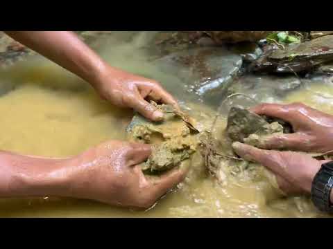 Видео: 5 ЛУЧШИХ ВИДЕО ОБ ОТКРЫТИИ ЗОЛОТА..!! ЗОЛОТАЯ ЛИХОРАДКА, ТРАДИЦИОННАЯ ЗОЛОТОДОБЫЧА, ЗОЛОТОДОБЫЧНИК